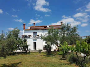 Apartment Mihael - 4 persons